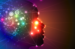 Image of neural networks